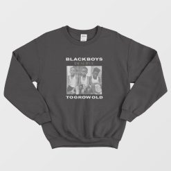Black Boys Deserve Youth Sweatshirt