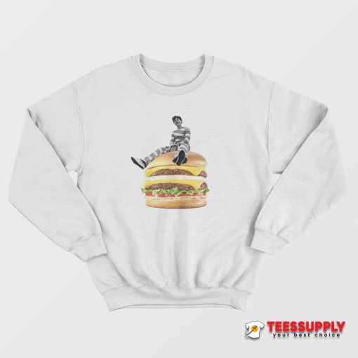 Harry Styles Sitting On A Burger Sweatshirt